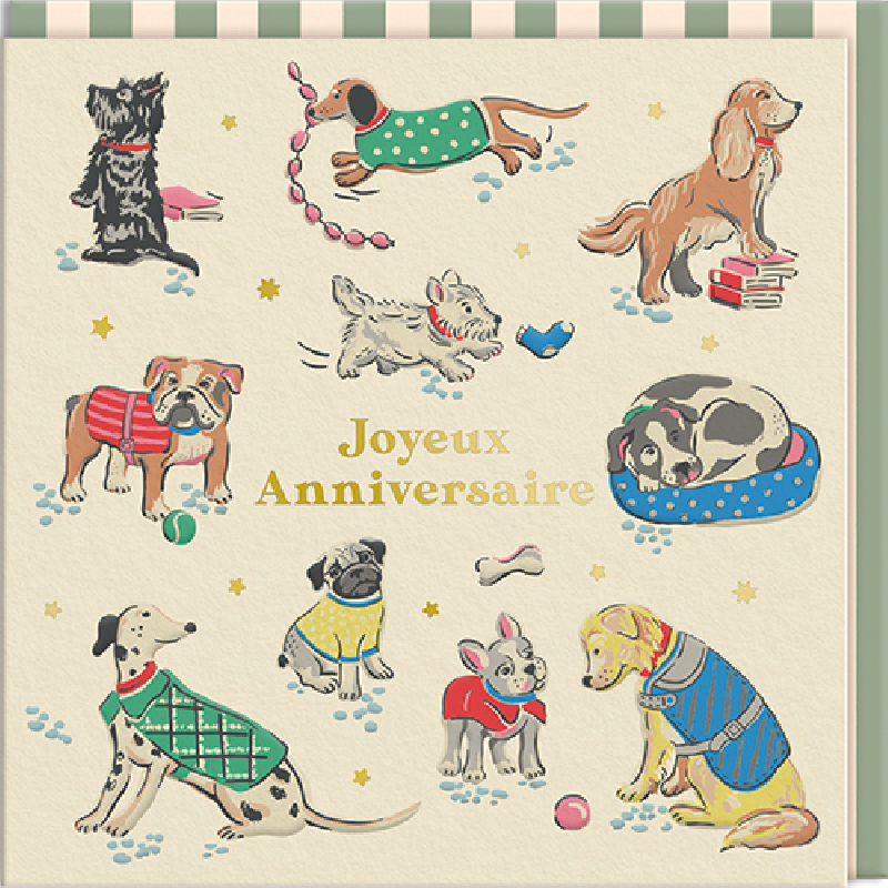 Carte double Chiens "Joyeux anniversaire"