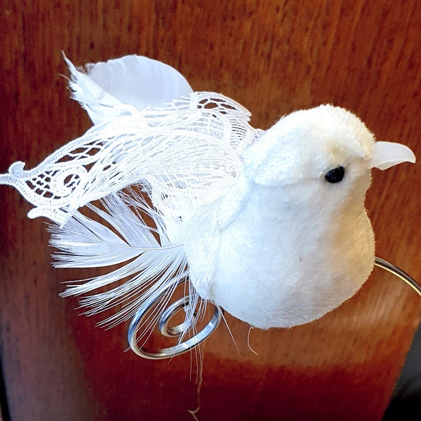 Oiseau blanc et dentelle