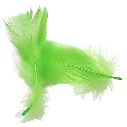 Plumes décoratives courbées
