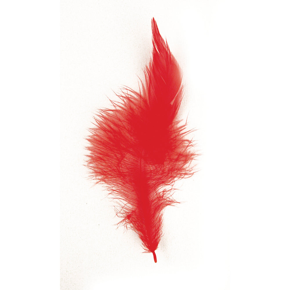 Plumes à la mode