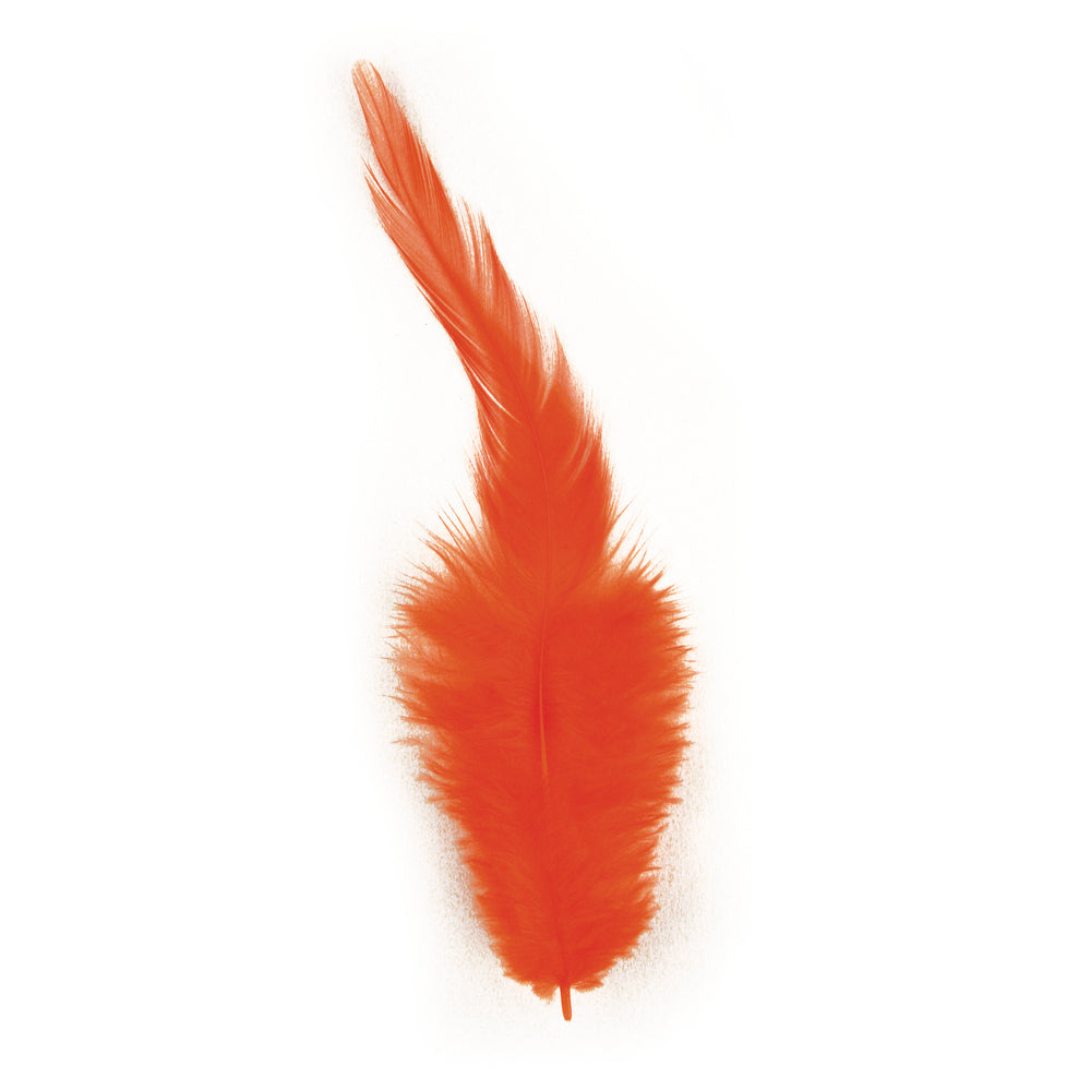 Plumes à la mode