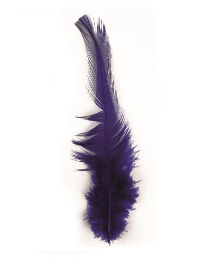 Plumes à la mode
