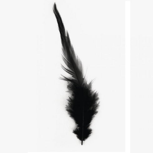 Plumes à la mode