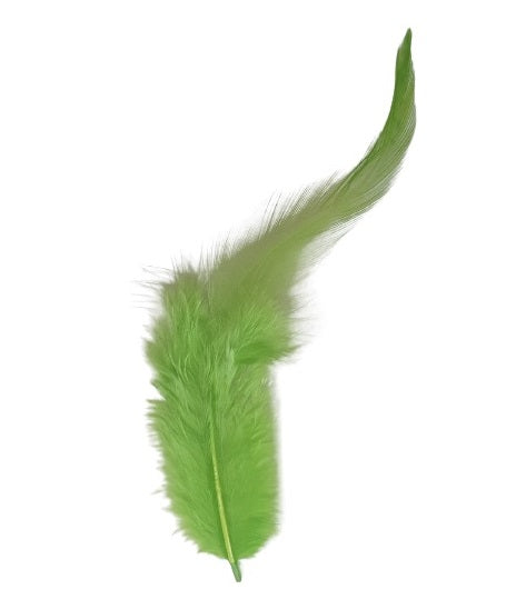 Plumes à la mode