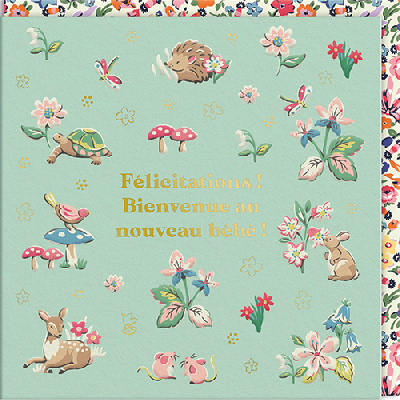 Carte double "Félicitations ! Bienvenue au nouveau bébé !"
