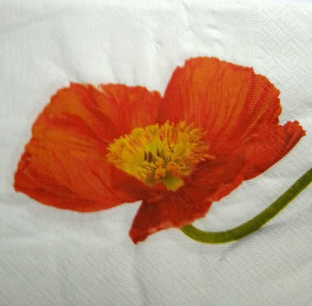 Serviette papier décor Coquelicot