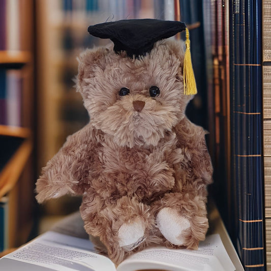 Ours en peluche diplômé