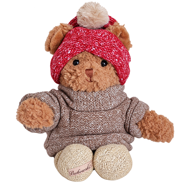 Ours en peluche en pull et bonnet d'hiver - Brother Steve, Matt et Robby