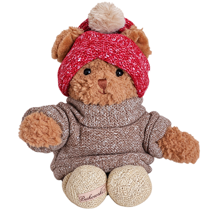 Ours en peluche en pull et bonnet d'hiver - Brother Steve, Matt et Robby