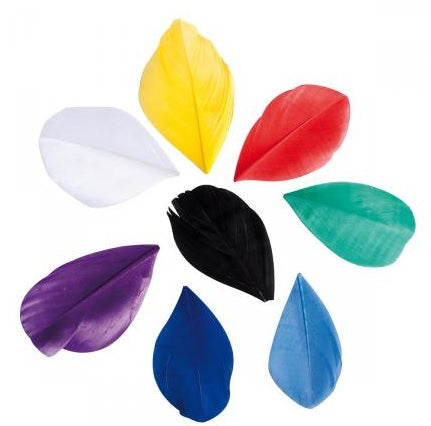 Plumes coupées
