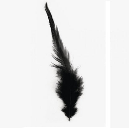 Plumes à la mode