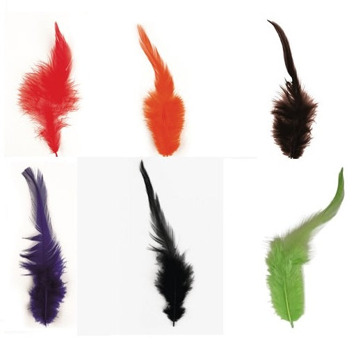 Plumes à la mode
